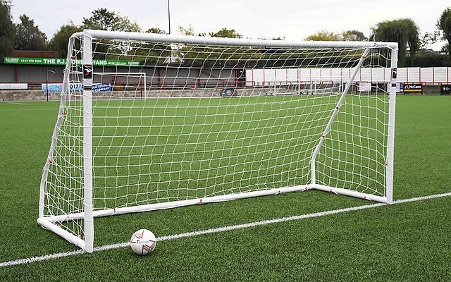 Ligue 1 - Lille vs Auxerre (3 : 1)