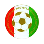 GY-M-S Megye I. osztály