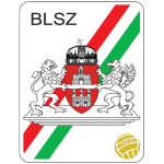 BLSZ I. osztály