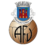 A.F. Viseu 1ª Divisão