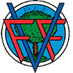 División de Honor Bizkaia