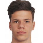 D. Tikhomirov