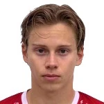 H. Bergstrom