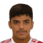J. M. Al-Mehairi