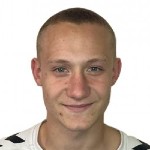 V. Gulyaev