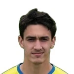 V. Cesnik