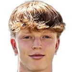 B. Huber