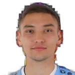 N. Mikhailov