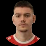 E. Vincetić