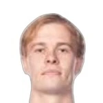 V. Andersson