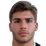 M. Gomizelj
