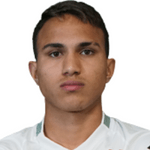 V. Ribeiro