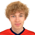 N. Eremenko