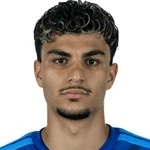 M. Ayhan