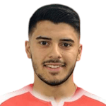N. Vlassopoulos