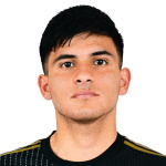 G. Vidal