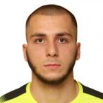 R. Mitsaev