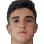 L. Henriques