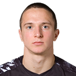 R. Garaev