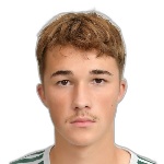 B. Mohos