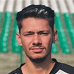 D. Vescan