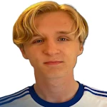 N. Wågberg
