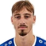 D. Madunić