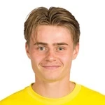 M. Antonsen