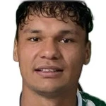 V. Penayo