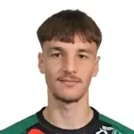 N. Mesic