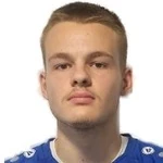 L. J. Mitrović