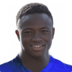 A. D. Ouedraogo