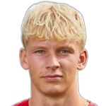 T. Laursen