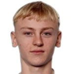 V. Karlsson