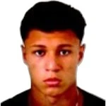 M. G. Ribeiro