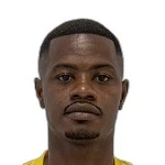 L. d. S. Teixeira