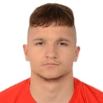 V. Mandić
