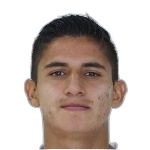 D. Delgadillo