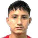 P. Ulises
