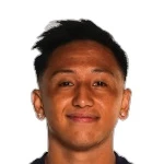 K. Vang