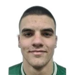 M. Biondić