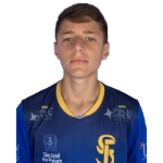P. H. d. S. Cordeiro