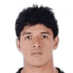 R. Rajagopal