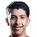 R. Al-Tulayhi