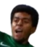 Y. Bonfim