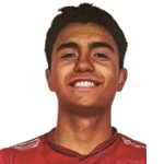 N. B. Villarroel