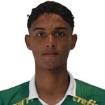 L. R. Gomes