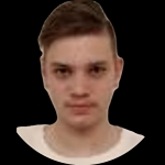 D. Novak
