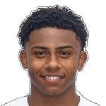 N. d. A. Nogueira