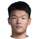 33 - H. Qin